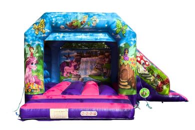 Unicorn Slide Combi, 21'(d) x 25'(w) x 10'6"(h) - 6.4m(d) x 7.6m(w) x 3.2m(h)